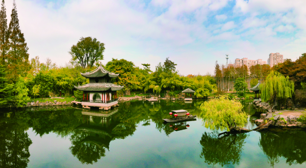 1a2dbc85-550b-4016-ba6e-02f3b94fcf93_副本.png