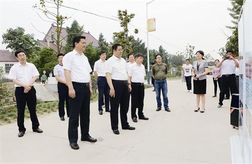 如皋马金华被怎么判多少年