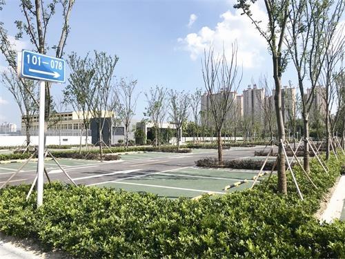 奥体中心东侧生态停车场竣工